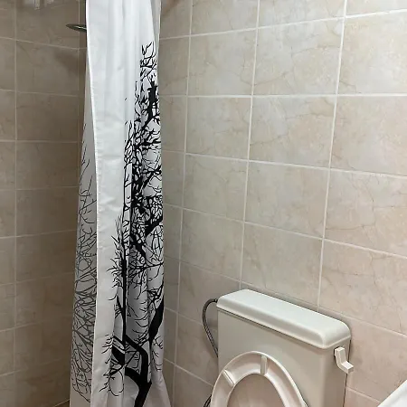 Hotel Hayat Ltd *
