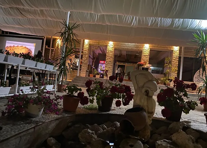 Hayat Ltd Primorszko