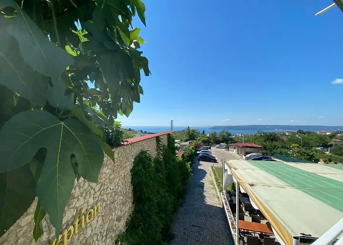 Hayat Ltd * פרימורסקו