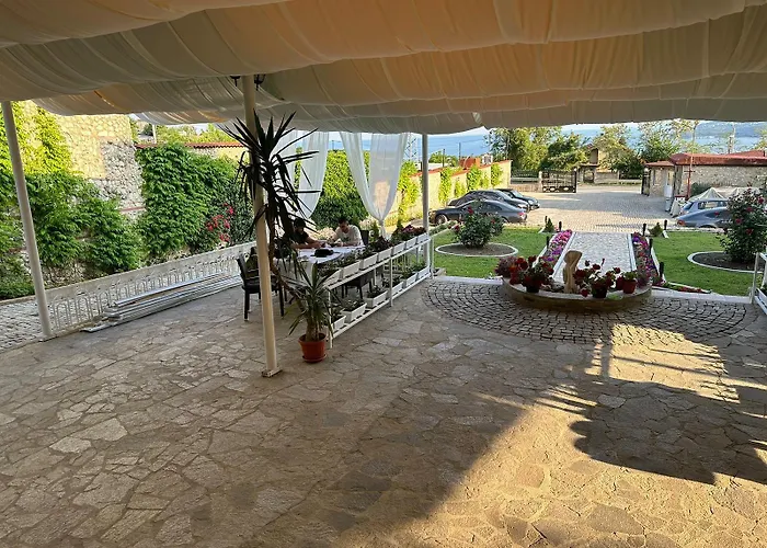 Hayat Ltd