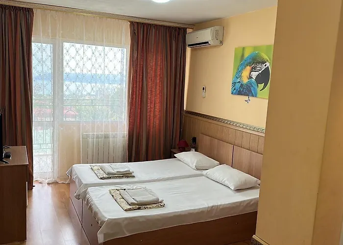 Hayat Ltd פרימורסקו