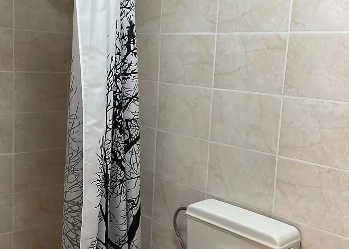 Szálloda Hayat Ltd *