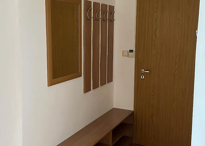 Hayat Ltd * Primorszko