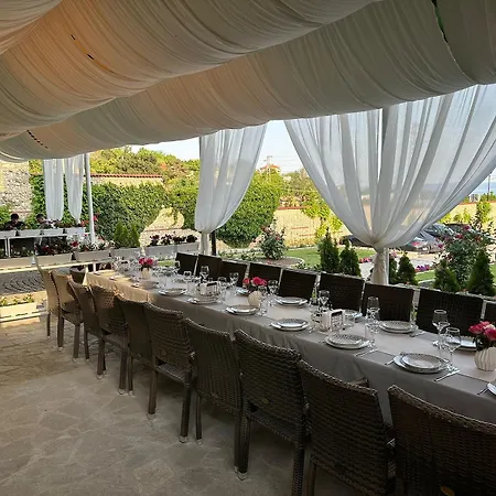 Hayat Ltd بريمورسكو